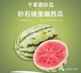 南昌网红吃瓜,揭秘城市美食圈的热辣故事