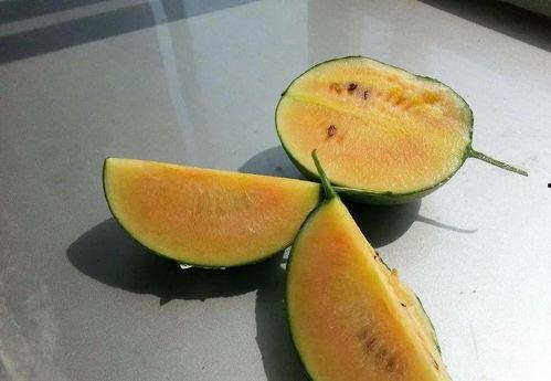 彩虹吃瓜的其他网红叫什么,盘点那些与彩虹吃瓜齐名的热门网红