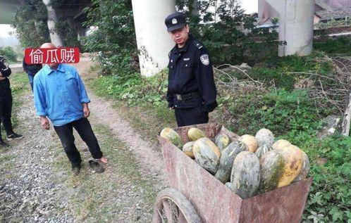 文安县网红吃瓜事件真相,真相背后引人深思