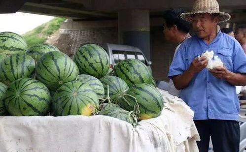 文安县网红吃瓜事件真相,真相背后引人深思