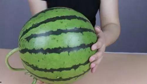 吃瓜网怎么用不了,揭秘原因及解决方案”