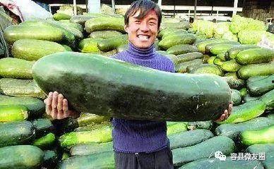 我爱吃瓜官网 免费吃瓜,尽在“我爱吃瓜官网”