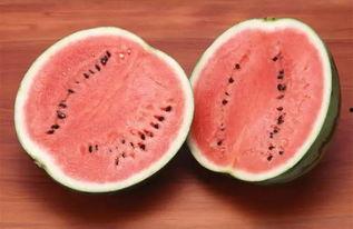 阜新吃瓜事件网红叫什么 第2张 阜新吃瓜事件网红叫什么 第2张