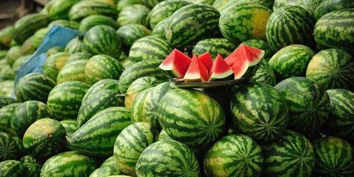 阜新吃瓜事件网红叫什么 第3张 阜新吃瓜事件网红叫什么 第3张