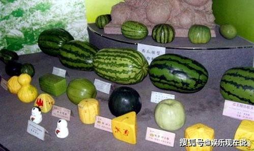 最近吃瓜网,吃瓜网独家爆料，明星隐私大曝光！