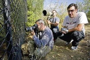 狗仔吃瓜网,娱乐圈幕后真相大曝光！