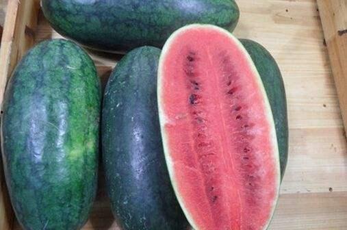 长春市网红吃瓜事件,揭秘网络舆论的风暴与真相  第1张