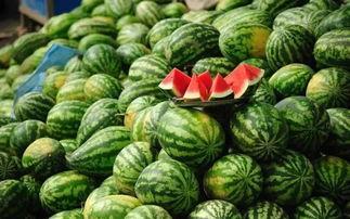 新沂的一个网红吃瓜事件,一场网络狂欢背后的真相揭秘