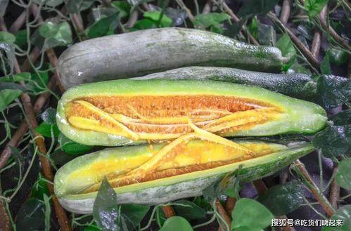 泰州网红苏西吃瓜,泰州网红的美食探店之旅