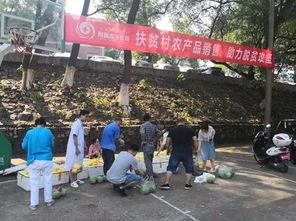 醴陵吃瓜网,揭秘醴陵美食背后的故事与风情