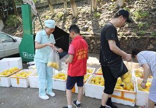 醴陵吃瓜网,揭秘醴陵美食背后的故事与风情