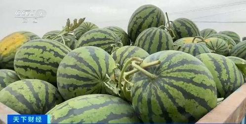 十几w网红吃瓜,十几万网红集体吃瓜，背后真相令人震惊