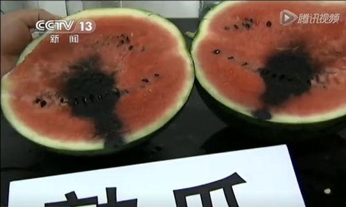 揭秘网红吃瓜视频大全,揭秘娱乐圈幕后真相