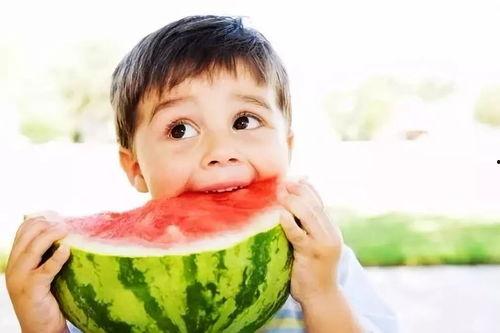 小希吃网瓜,小希的网瓜美食之旅