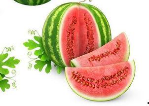 小希吃网瓜,小希的网瓜美食之旅