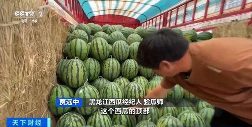 金乡吃瓜网,揭秘金乡新鲜趣事,带你领略乡土风情 第2张 金乡吃瓜网,揭秘金乡新鲜趣事,带你领略乡土风情 第2张