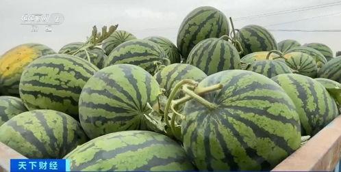 网爆门吃瓜网下载,吃瓜群众下载揭秘 第3张 网爆门吃瓜网下载,吃瓜群众下载揭秘 第3张