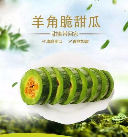 吃瓜网社,娱乐圈幕后真相大曝光！