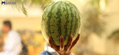 吃瓜事件网,揭秘网络舆论背后的真相与争议