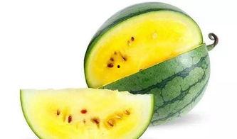 吃瓜网服务器在哪里,服务器布局与全球影响力解析