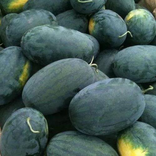 宁波网红陈小姐吃瓜,揭秘幕后真相与网络热议  第1张