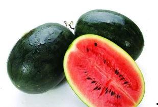 宁波网红陈小姐吃瓜,揭秘幕后真相与网络热议  第2张