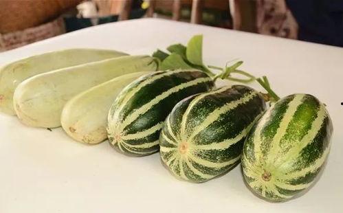 吃瓜原创网红推荐,盘点那些必尝美食！