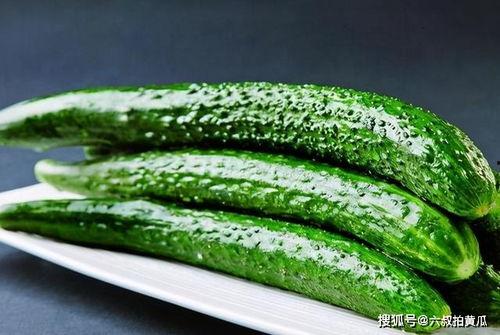 新疆小网红吃瓜视频下载