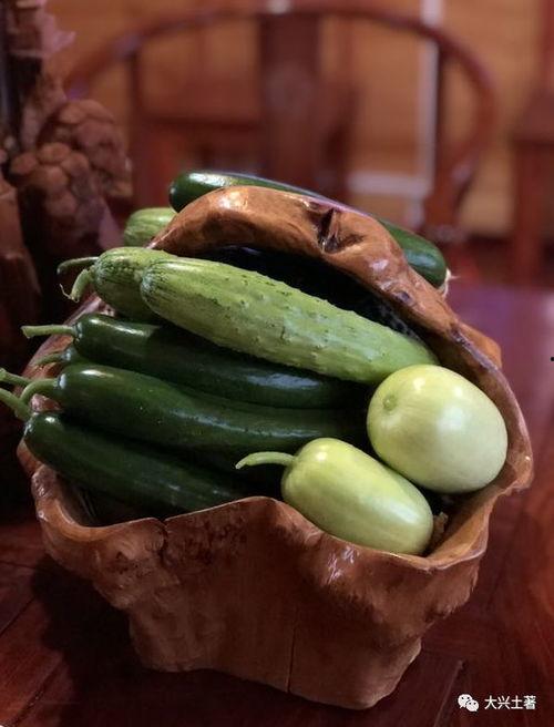 石家庄南乐乡网红吃瓜