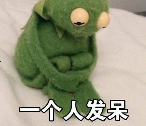 网红青蛙吃瓜表情包 第1张 网红青蛙吃瓜表情包 第1张