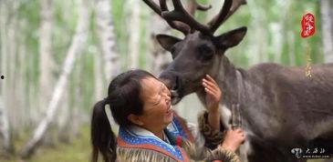 网红驯鹿吃瓜是真的吗视频,真相揭秘