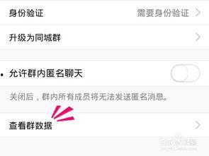 qq群吃网红瓜最新,QQ群吃瓜事件背后的真相与内幕