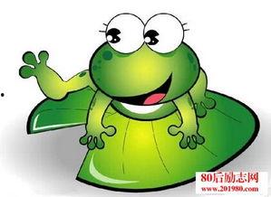 网红青蛙在线吃瓜,趣味横生引网友热议