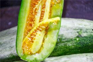 哪里吃网红的瓜,跟随“哪里吃”探寻热门八卦盛宴