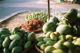 除了吃瓜网还有什么  第2张