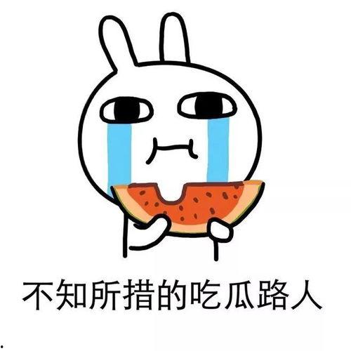 除了吃瓜网还有什么  第3张