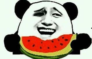 吃瓜网什么梗,揭秘网络热梗背后的故事与真相