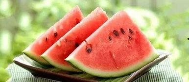 网红吃瓜白珍珠视频大全,视频大全带你一网打尽甜蜜诱惑