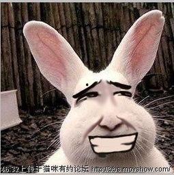 剑网3吃瓜兔子表情图怎么做