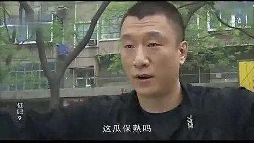 张露文抓哥瓜吃瓜网,揭秘吃瓜网背后的娱乐风云