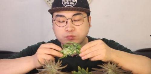 吃瓜小哥网红是谁啊,揭秘“吃瓜小哥”网红背后的故事