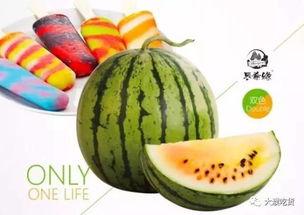 爱吃雪糕的吃瓜网,夏日清凉，趣味无限