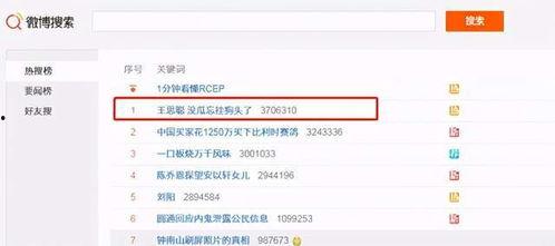吃瓜网红的网站是什么,吃瓜网红聚集地的神秘网站
