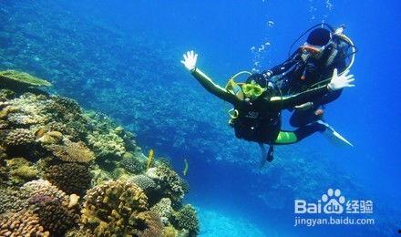 一线吃瓜海底见月百度网盘,揭秘“海底见月”的神秘面纱