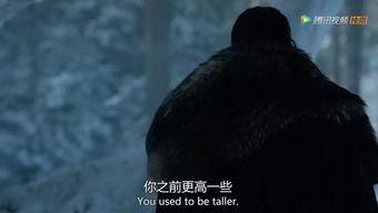 吃瓜的雪诺网红必须死