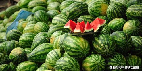 靖江小网红吃瓜事件,揭秘网络舆论的风暴与真相