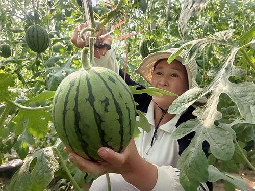 靖江小网红吃瓜事件,揭秘网络舆论的风暴与真相