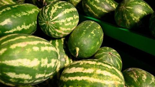 荷兰网红吃瓜事件,揭秘网络舆论的风暴与真相