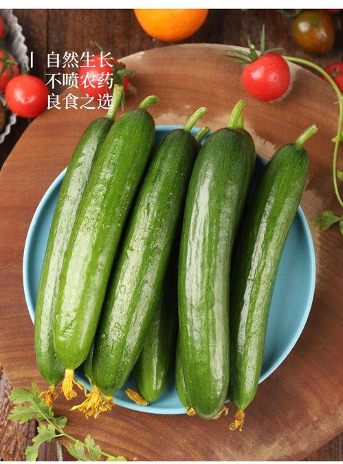 荷兰网红吃瓜事件,揭秘网络舆论的风暴与真相