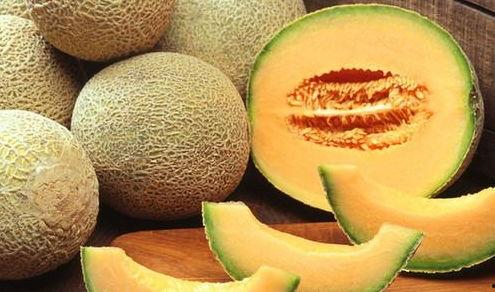 鹅网红吃哈密瓜,舌尖上的哈密瓜盛宴